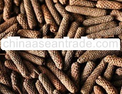 Dried Long Pepper