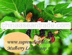 Natural Handmade Soap & Herbal Handmade Soap & Mulberry Leaves Soap