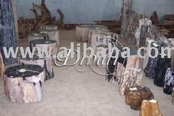 Irregular shapes PETRIFIED WOOD