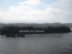 Steam Coal