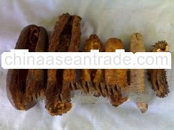 DRIED SEA CUCUMBER