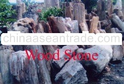 Fossil Wood Stone