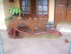 mahogany giant root table