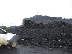 Coal