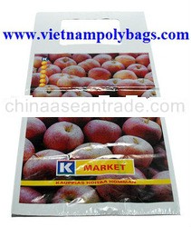 Blockhead poly plastic bag made in Viet nam