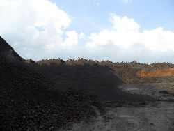 STEAM COAL FROM INDONESIA