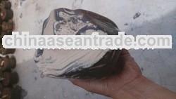 Polished Copal Amber 