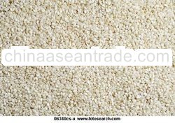 White Sesame Seeds