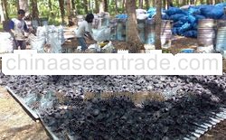 Coconut shell charcoal