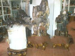 Petrified Wood