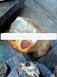 Agate from Kingstone (Antique agate)