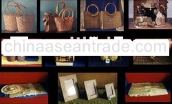 Natural Collection By P8