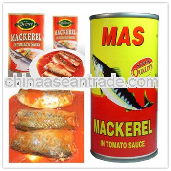 425g canned mackerel with good quality