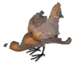 Drift Wood Sculptures