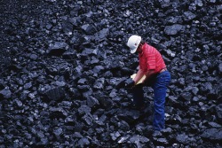 steam coal