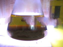 Biodiesel Oil