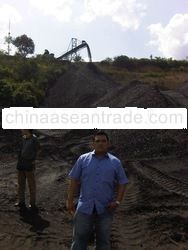 Steam Coal