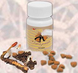 Cordyceps product