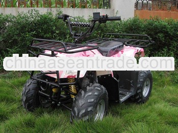 50CC-110CC QUAD FOR ADULTS (XW-A17)