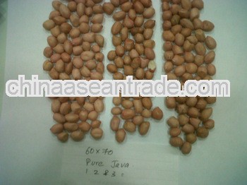 50/60 Peanuts for Argentina