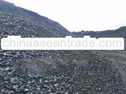 STEAM COAL