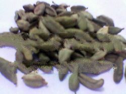 Green Cardamom