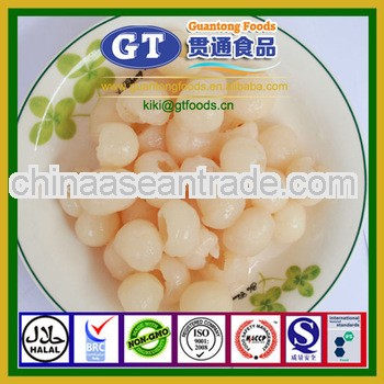 567g Fresh Canned Longan in Syrup