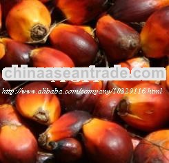 Rbd Palm Oil