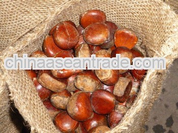 5kg/bag Low Price Chestnut from Shandong,