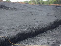 Steam Coal GCV 5,600 - 5,800 adb, FOB Basis