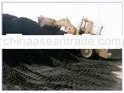 Steam Coal