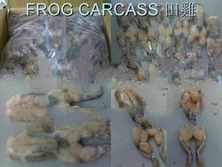 Frozen Frog Carcass