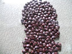 tamarind seeds