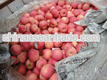 80% up red fuji apple from china have super quality