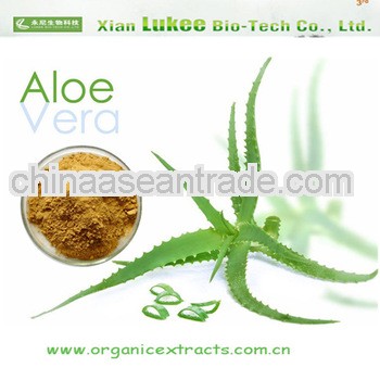 Aloe Extract,high quality cosmetic grade aloe vera gel