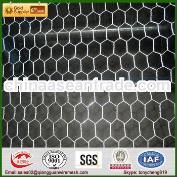 Anping Galvanized Hexagonal Chicken Wire Mesh