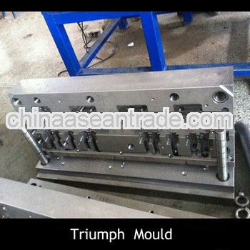 Auto plastic plastic injection dme mould