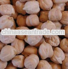 Best Kabuli Chickpeas 12mm For Bulgaria