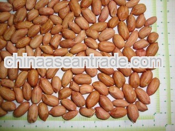 Best Quality Peanuts for Belize