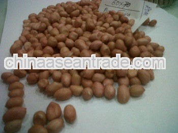 Best Quality Peanuts for Burma