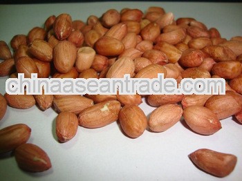 Best Quality Peanuts for Croatia