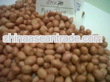 Best Quality Peanuts for Democratic Republic of the Congo