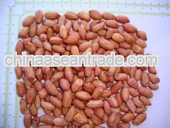 Best Quality Peanuts for Iraq