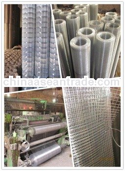 Best quality!!Galvanized Welded Wire Mesh