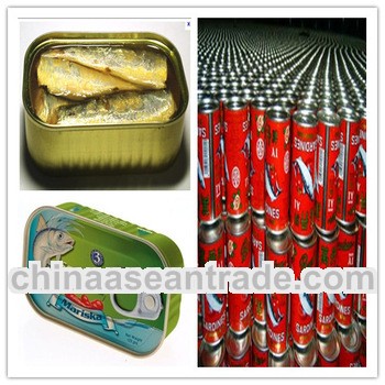 Best selling canned sardine