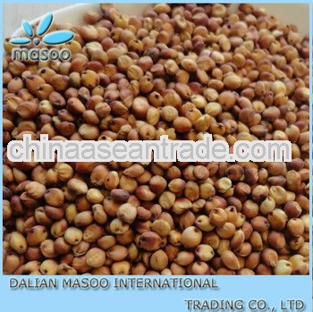 Bird Food Sorghum Price