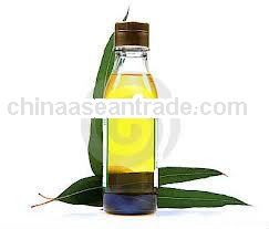 Body Oil Eucalyptus Oil