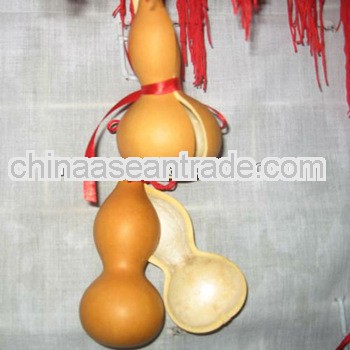 Bottle gourds for sale