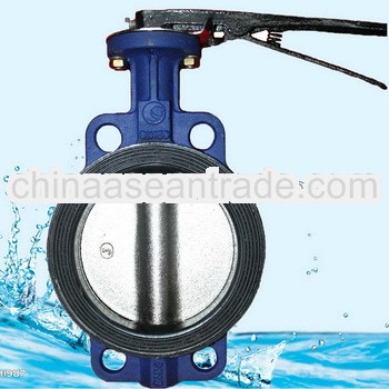 Butterfly valve for valve for water leak