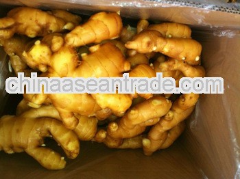 CHINESE FRESH GINGER